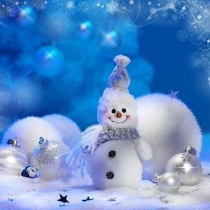 Meet your Posher, Louise